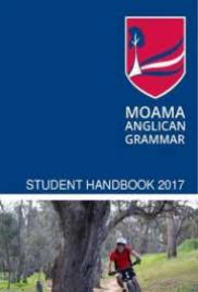 The Fortune Handbook 2017